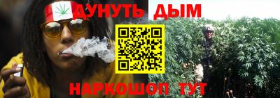 индика Пыть-Ях