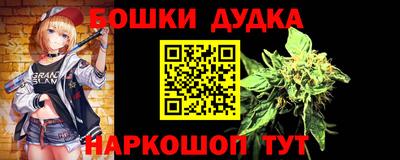 индика Пыть-Ях